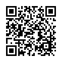 To view this 2009 Chevrolet HHR Fort Worth TX from Hemphill Motors, please scan this QR code with your smartphone or tablet to view the mobile version of this page.